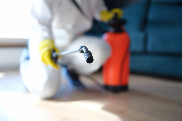 Best Industrial Mold Remediation  in Lake Alfred, FL