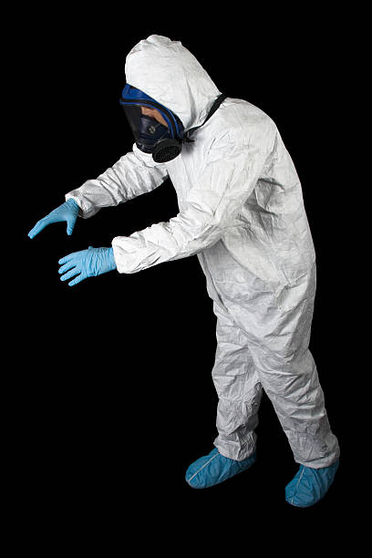 Best Black Mold Removal  in Lake Alfred, FL