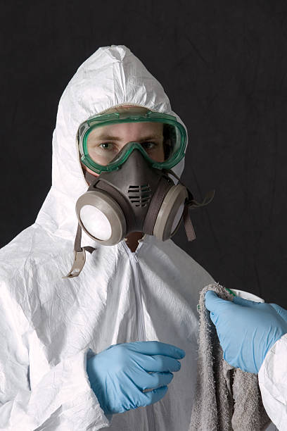 Best Asbestos and Lead Testing During Mold Inspection  in Lake Alfred, FL